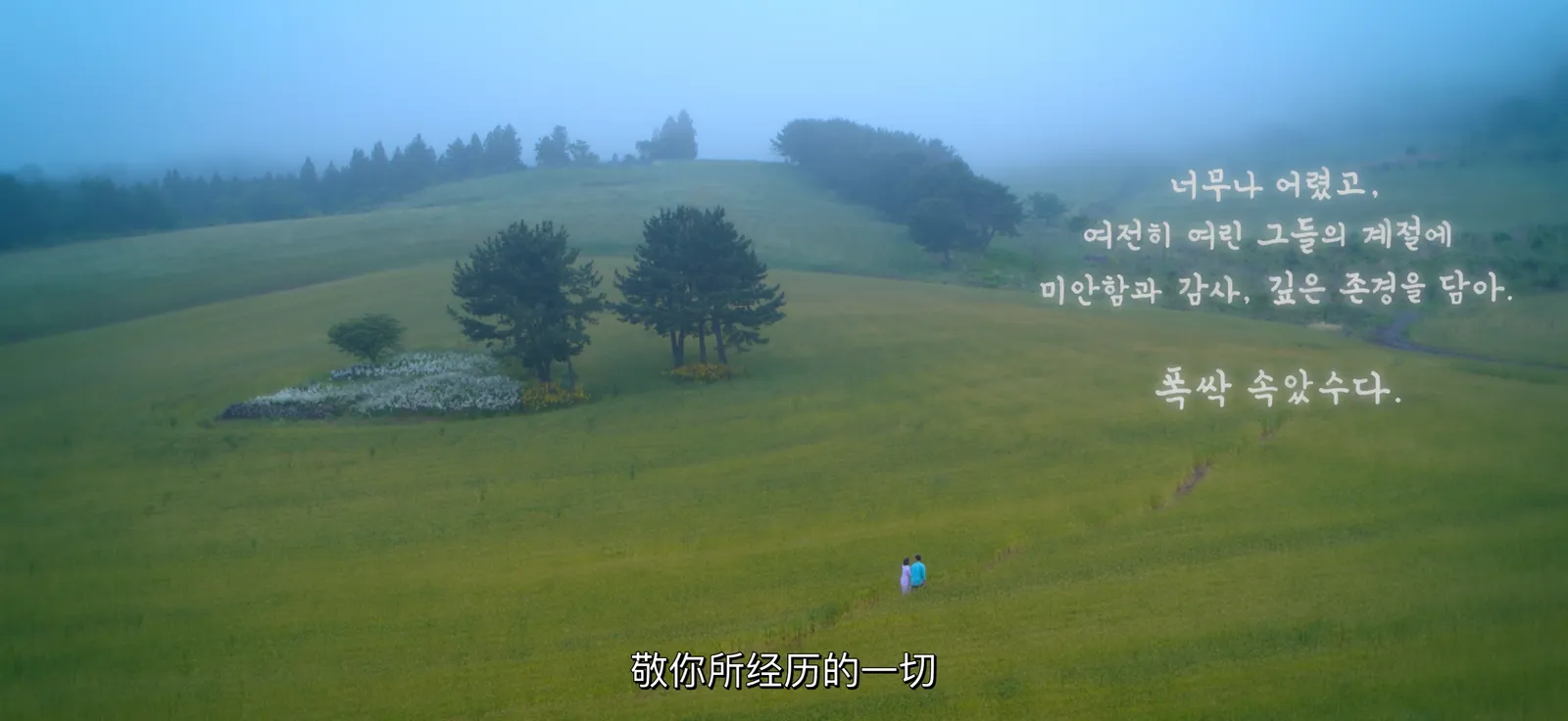 薄雾中的草地,字幕写着「敬你所经历的一切」